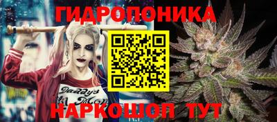 индика Бердск