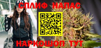 гашик Ачхой-Мартан