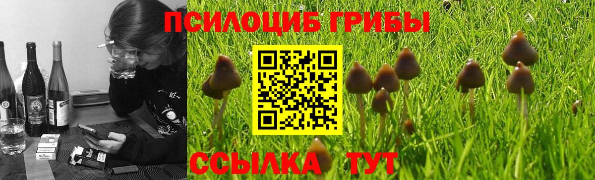 Солнечногорск  Псилоцибиновые грибы Cubensis  Псилоцибиновые грибы мухоморы  Вход с VPN 