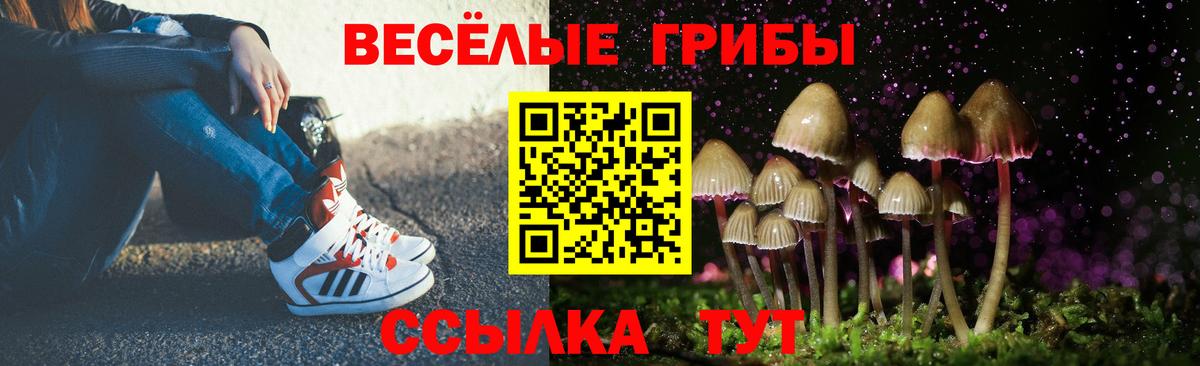 Галлюциногенные грибы Magic Shrooms Солнечногорск